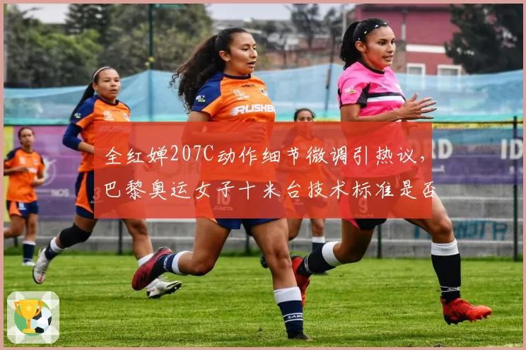 全红婵207C动作细节微调引热议，巴黎奥运女子十米台技术标准是否已由她重新定义？