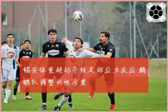 锡安体重超标导致足部应力反应 鹈鹕队调整训练方案