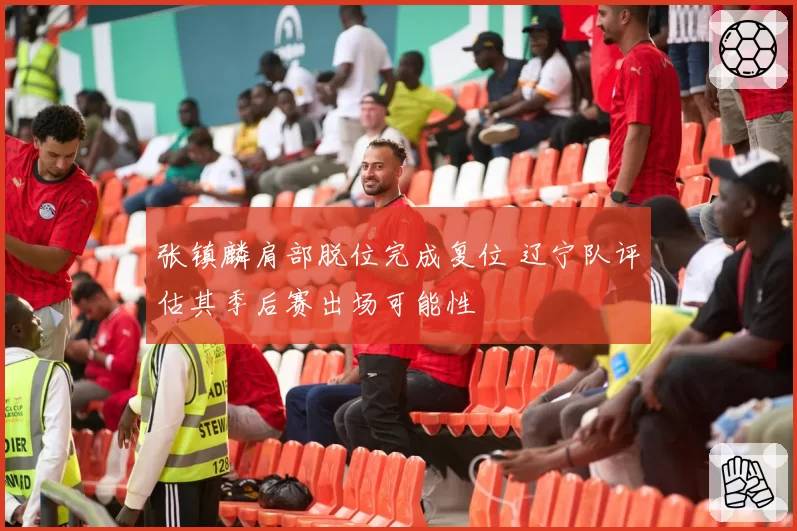 张镇麟肩部脱位完成复位 辽宁队评估其季后赛出场可能性
